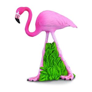 Фламинго шувуу Flamingo