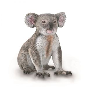 Коала баавгай Koala