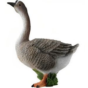 Галуу шувуу Goose