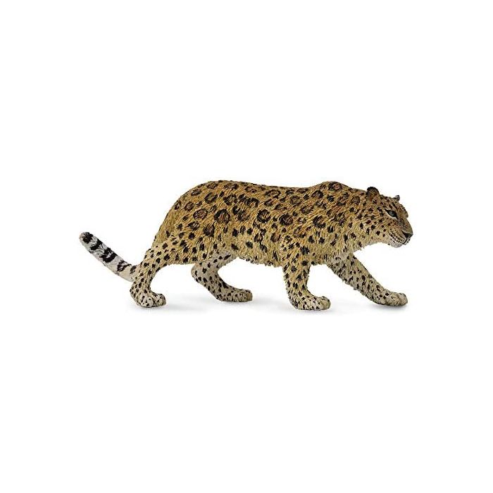 Ирвэс Amur Leopard