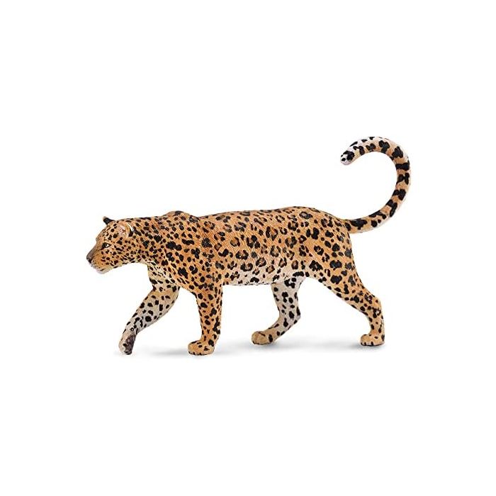 Ирвэс African Leopard