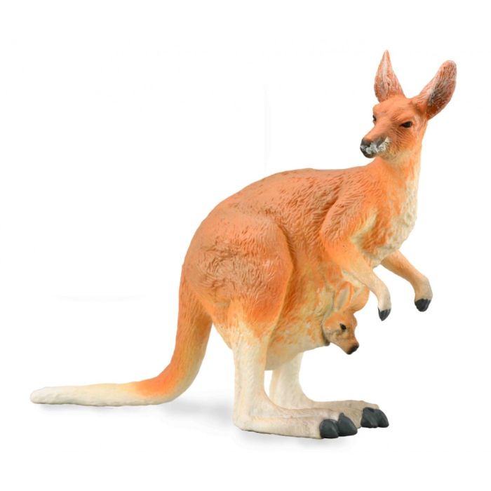 Имж Red Kangaroo